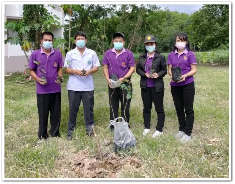 ﻿สำนักงานบังคับคดีจังหวัดเชียงราย สาขาเทิง ร่วมกิจกรรมวันต้นไม้ประจำปีของชาติ พ.ศ. 2564
